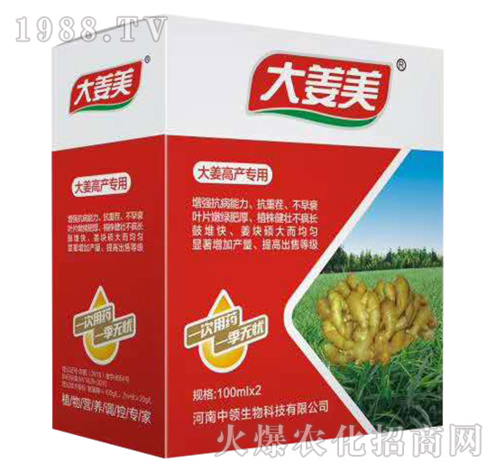 �󽪸߮a����-����-���I����