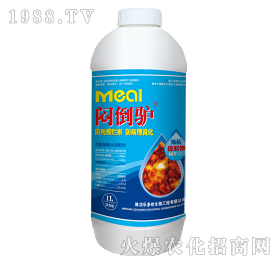 �����H��1L��-������