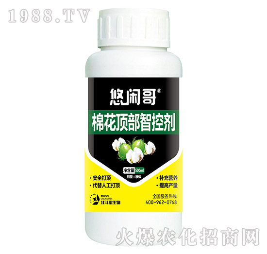 �޻�픲��ǿ؄�-���e��-������