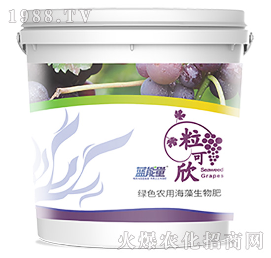 ������-�{(l��n)����