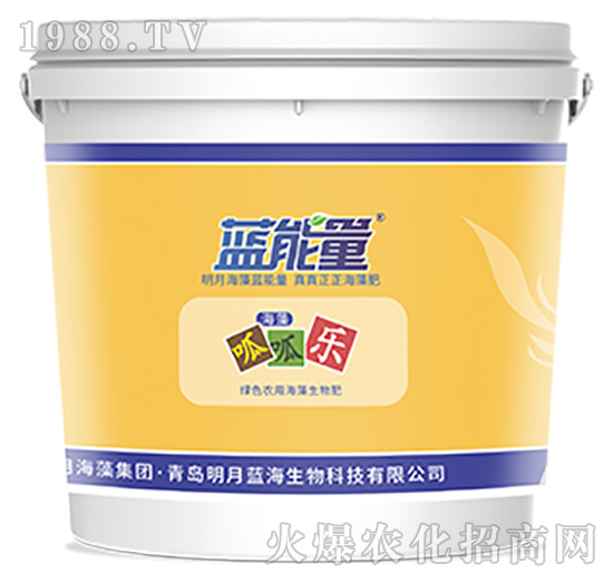 ���ɘ�-�{����