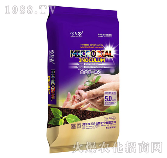 �pЧˎ��-���r(n��ng)