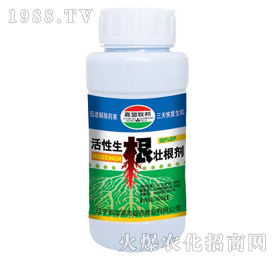 ���������Ѹ���-�μ�