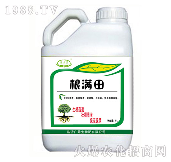 ���M��-���S��-�VԪ����