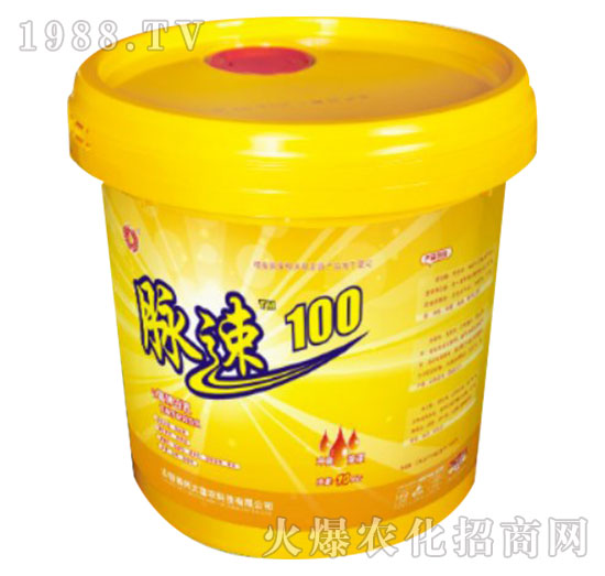 �}��100-����Ƽ�