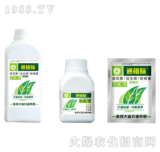 �V�V��ֲͨ�}-����Ƽ�