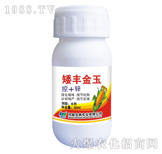 ���S����-���䌍�I(y��)