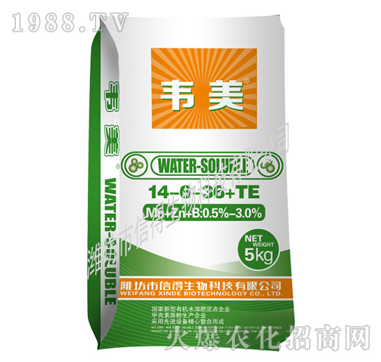 �f����⛷�14-6-36+TE-�ŵ�