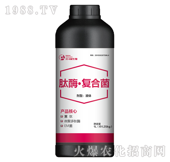 ��ø���ͺϾ�-������