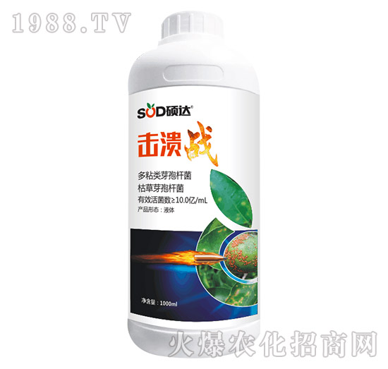 ������(zh��n)-�T�_(d��)