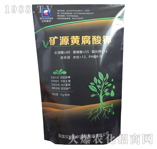 �VԴ�S�����-�����S