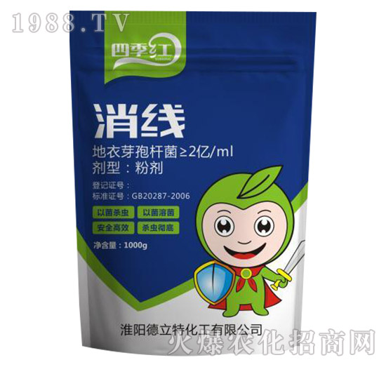 ����-�ļ��t-������