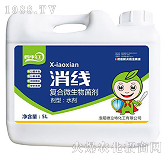 �ͺ�΢�������-����-������