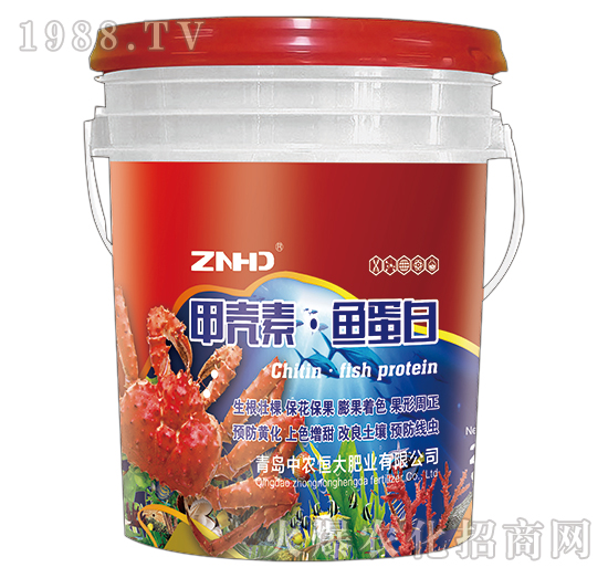 �ך��ء��~����-���r���