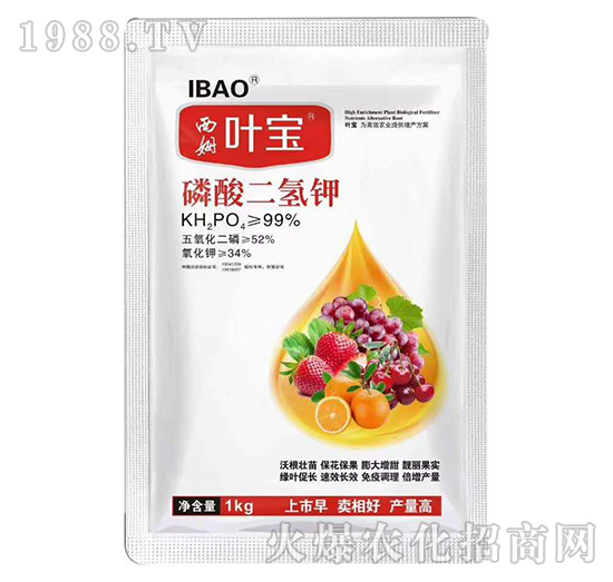 ��������-�~��-��ķ����