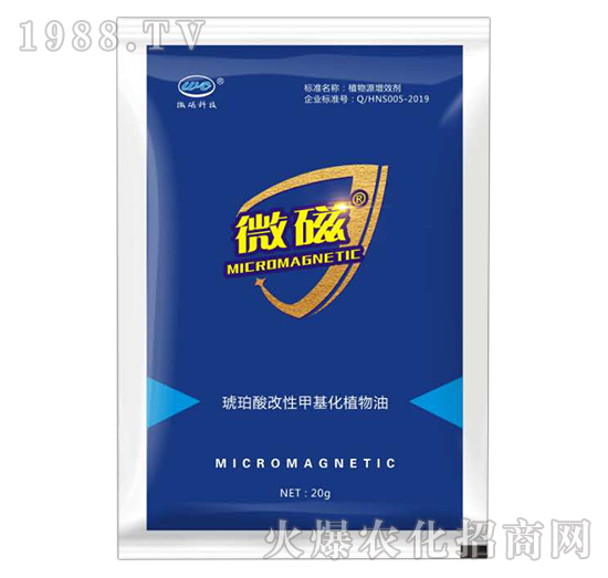 ��������Լ׻���ֲ����-΢��-�����_˹