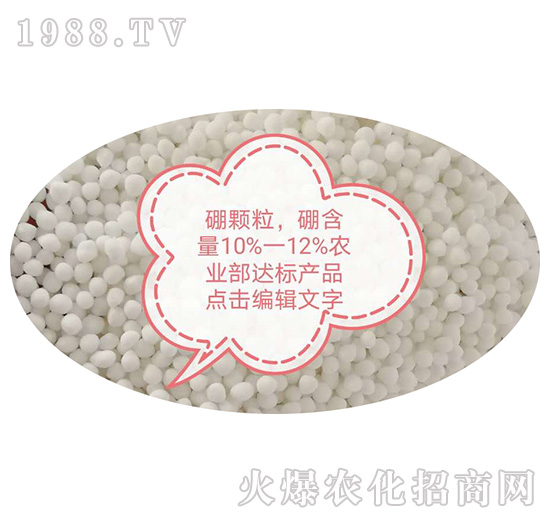 �w����-���������