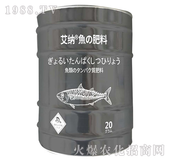 ���{�~����-���㺣