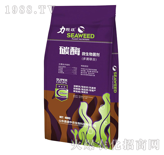 ̼ø΢�������-������-��ʢ���r(n��ng)