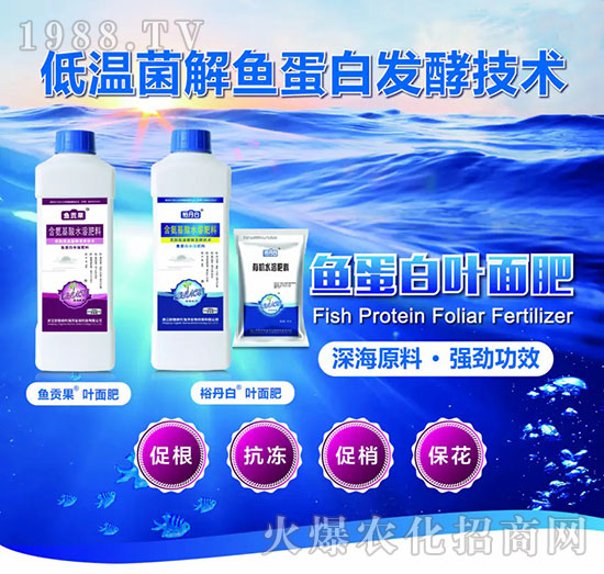 �~(y��)�����~���-�~(y��)ؕ��+ԣ����-�W��{��