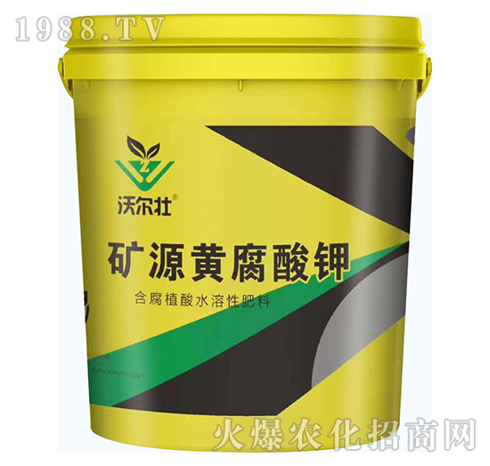 �VԴ�S�����-�֠���-���W����