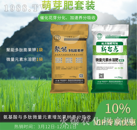 ��ѿ�����b-��������