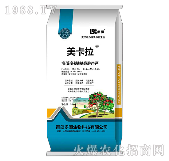 ��������F�V���\�}-������-���P����