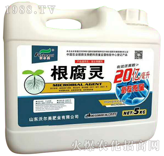 ΢�������-�����`-�֠���