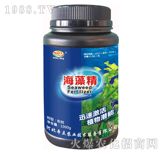 ���徫-�����r�I(y��)