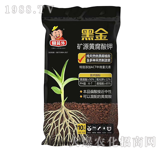 �VԴ�S�����-�ڽ�-�f��