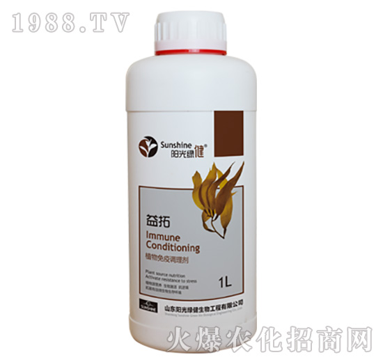 ֲ�������{�턩-����-14-ꖹ�G��