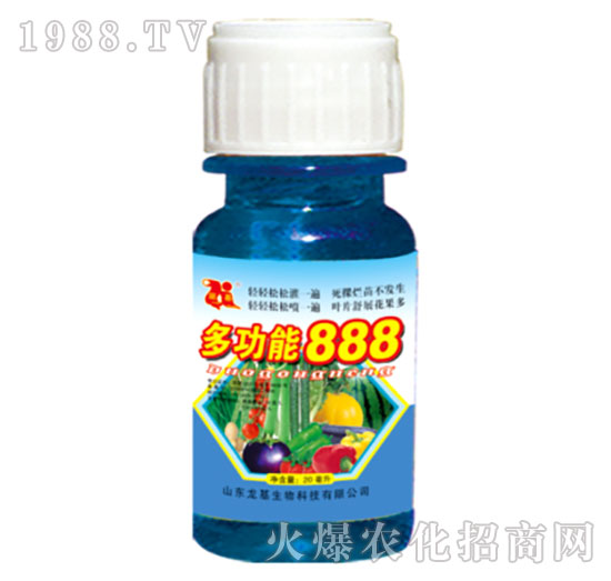 �๦��888-��������