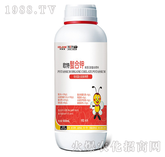 �ЙC(j��)���w����⛷�-�����-�W���r(n��ng)�I(y��)