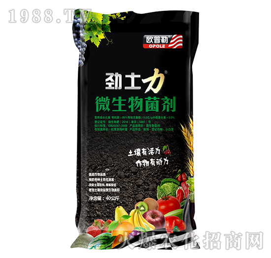 ΢�������-������-�A�S����