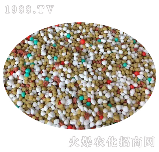 �����w��20-20-5�����t