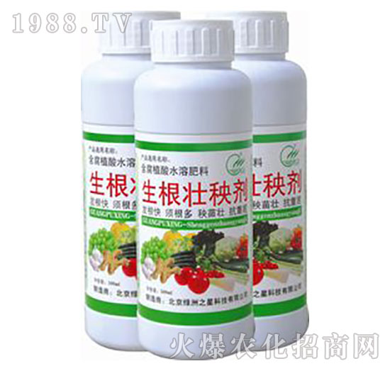 �������턩-�G��֮��