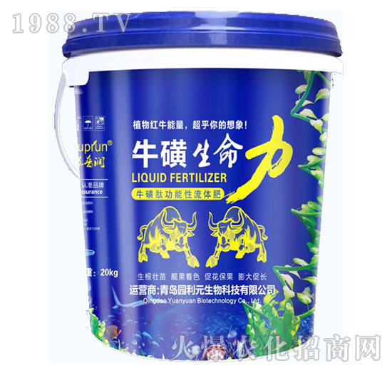 ����������-�@��Ԫ