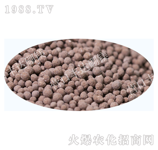 ʮ��Ԫ���w����-�S�_(d��)��