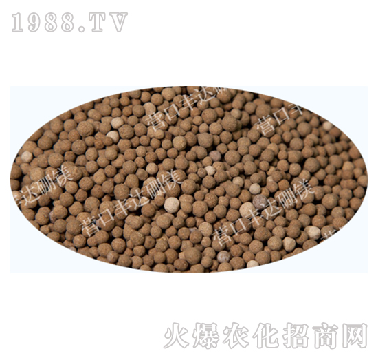 ��Ԫ���w����-�S�_��