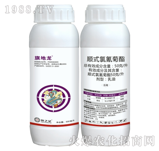 50��ÿ���ʽ�������-�����-��֮��