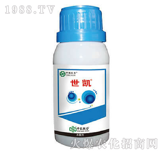 10%���Ѽ׭h(hu��n)��-���P-���r��