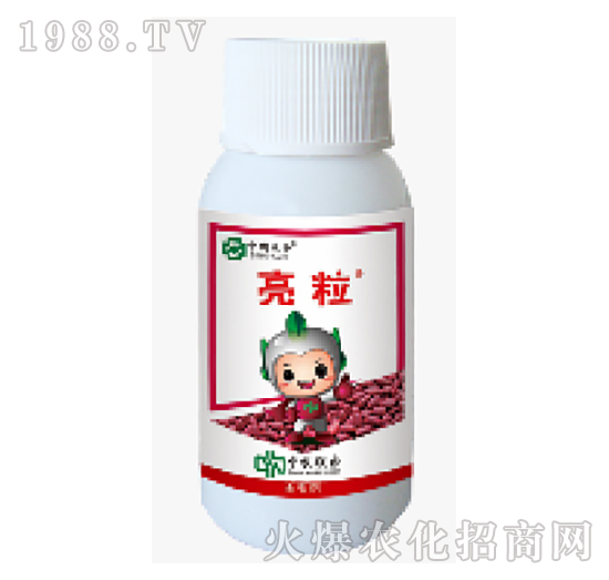 600��ÿ�����x��-����-���r(n��ng)(li��n)��