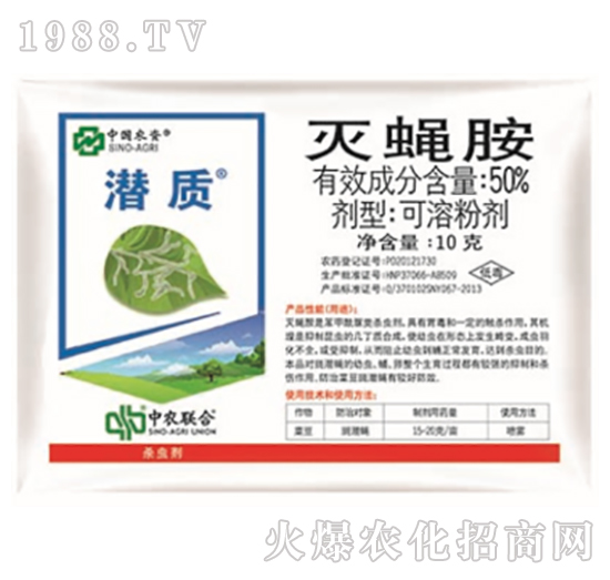 50%��ω��-���|(zh��)-���r(n��ng)(li��n)��