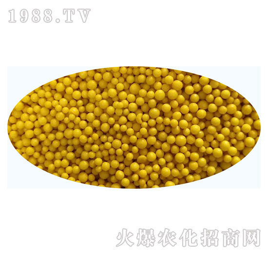 �w����Ʒ19-���ʿطʘI(y��)