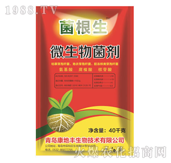 ΢�������-������-����