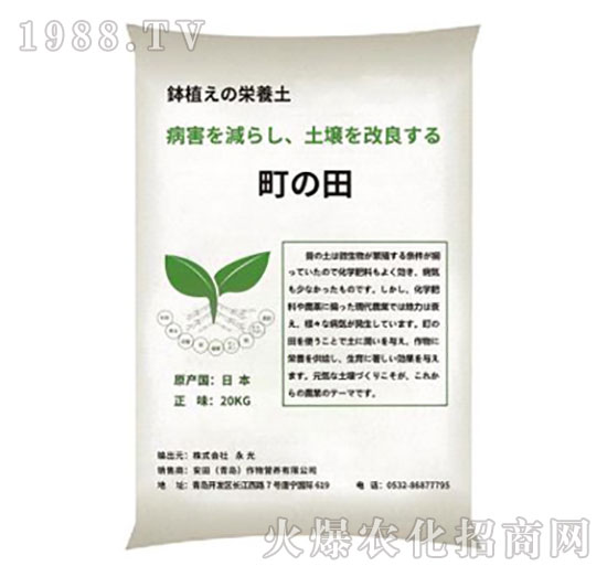 �֮��۠-����