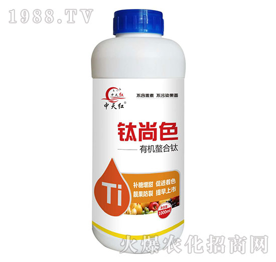 �ЙC(j��)�����-���ɫ-����t