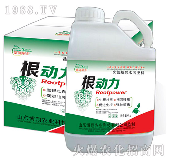 ��������ˮ�ܷ���-����(d��ng)��-���M���l(xi��ng)-�����r(n��ng)�I(y��)