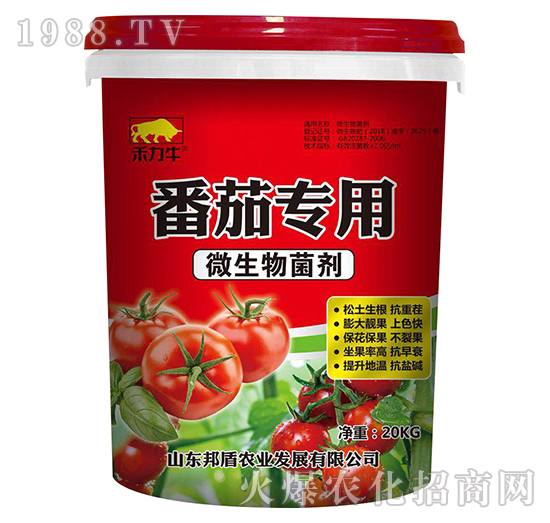 ���ь�(zhu��n)��΢�������-����r(n��ng)�I(y��)