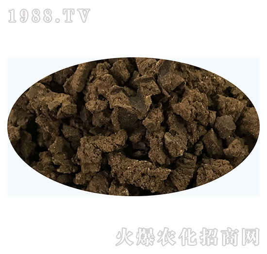 �����������͉��-�쌚